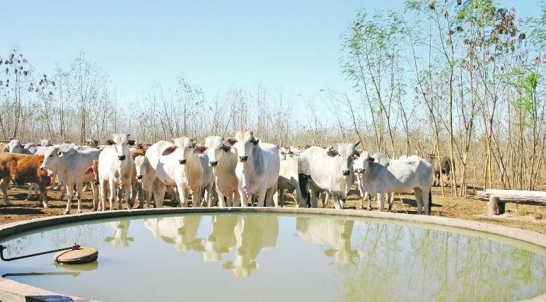 Lee más sobre el artículo Sistema de aviso inalámbrico de falta de agua en bebederos para animales